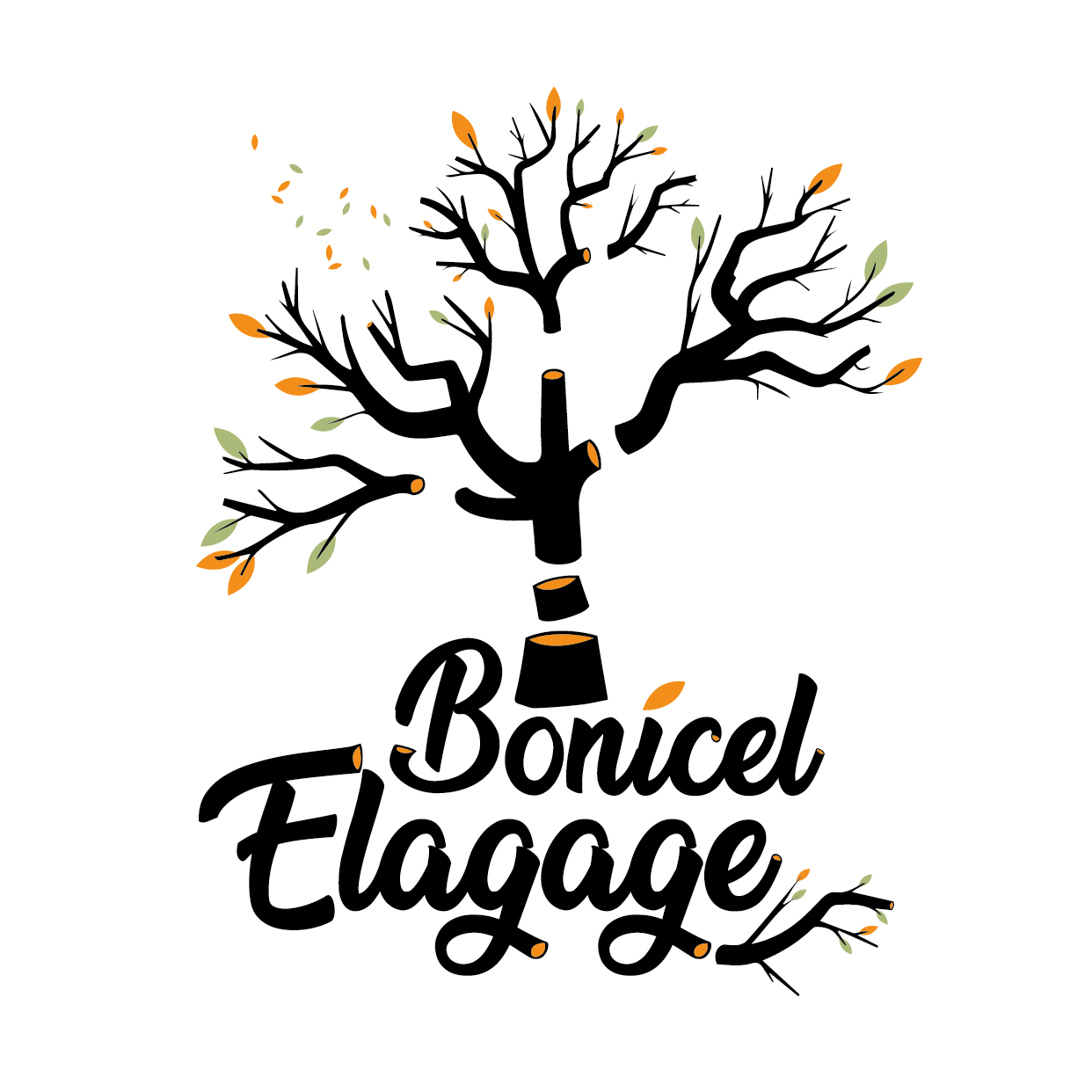 Conception du logo pour Bonicel Élagage
