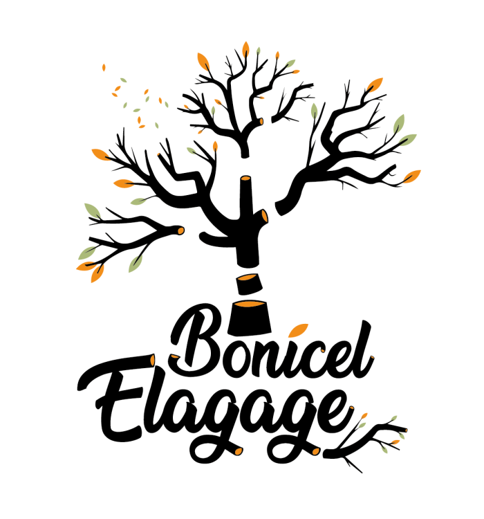 Conception du logo pour Bonicel Élagage